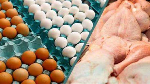 قیمت مرغ و تخم مرغ در بازار عید نوروز همدان نوسان ندارد