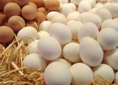 راه هایی برای تشخیص و مصرف تخم مرغ سالم